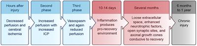 Enhancing Nervous System Recovery through Neurobiologics, Neural Interface Training, and Neurorehabilitation